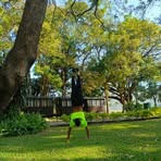 Peter Berrios - Facebook