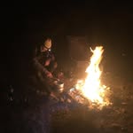 Pete Berryman - @pete.berryman - Instagram