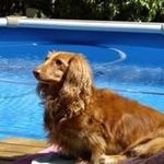 Sue Berryman - @petersue.berryman - Instagram