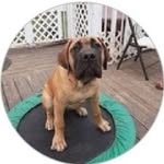 Peter  Berube - @xc5zlj1bk4 - Instagram