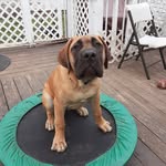 Peter Berube - @pjb420freindlyguy - Instagram