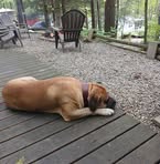Peter Berube - Facebook