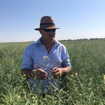 Peter Best - @peterbest_allandale - Instagram
