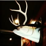 Peter Betti - @codder12 - Instagram