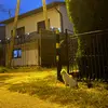 peterdoesbibleverses - @peterdoesbiblever - TikTok