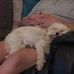 Peter Bick - Facebook