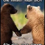 Peter Bicking - @peterbicking - Instagram
