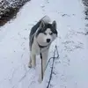 Peter Biebl - @peterbiebl - TikTok