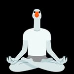 Peter Bissett - @biscuit__58 - Instagram