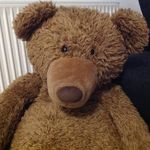 Peter Bittner - @petziboard - Instagram