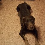 Peter Bittner - @peter.bittner - Instagram