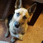 Peter Bittner - @ossipeter43 - Instagram
