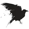 Blackbird Peter - @blackbird.peter - TikTok