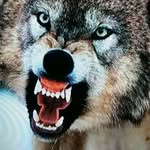 Pete Blackmore - @pete.blackmore.904 - Instagram