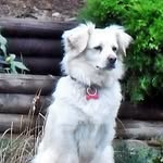 Peter Blackmore - @peter.blackmore.3745 - Instagram