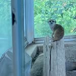 Peter Blackmore - @peterbs05 - Instagram
