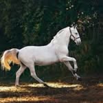 Peter blade - @peterblade6 - Instagram