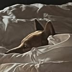 Peter Pb Blaha - @pbpbpb1111 - Instagram