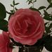Peter Blank - Facebook