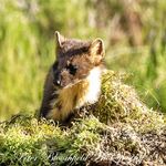 Peter Bloomfield - @peter.bloomfield.01 - Instagram