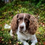 Peter Bloomfield - @peter.bloomfield.50 - Instagram