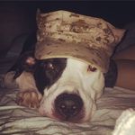 Peter Blount - @peter.blount - Instagram