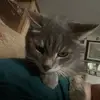 peterblount21 - @peterblount21 - TikTok