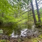 Peter Blume - Facebook