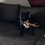 Peter Boag - @boag.p - Instagram