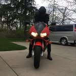 Peter Bock - @peacockrocket - Instagram