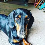 Peter Bode - @pebod83 - Instagram