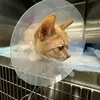 Peter Bodeter - @peter.bodeter - TikTok