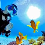 Peter Bohn - Facebook
