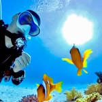 Peter Bohn • Underwater Videographer - @pitt_surrounded_by_water - Instagram