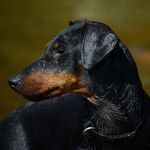 Peter Bohrmann - @peterbohrmann - Instagram
