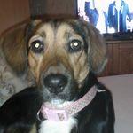 Peter Boldt - @peter.boldt.754 - Instagram