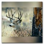 peterboldt - @peterboldt551 - Instagram
