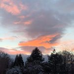 Peter Bollinger - @bollinger.peter - Instagram