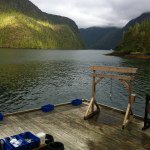 Peter Bolognese - @perpete - Instagram