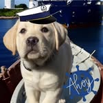 Captain Boomer - @boomerpeters - Instagram