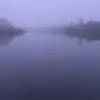 borispeter - @borispeter - TikTok