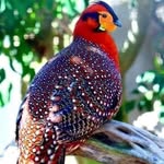Peter Boris - @peterboris567 - Instagram