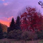 Peter Boris - @peterboris00 - Instagram