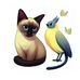 Pets Birds - Facebook