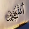 Pete Bouchard - @pete.bouchard2 - TikTok
