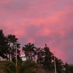 Peter Bowden - @ric_parc - Instagram