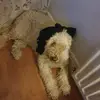 Peter Bowles - @peter.bowles - TikTok
