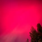 Peter Boyce - @peter.boyce_ - Instagram