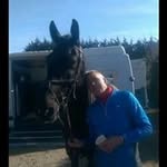 Peter Boylan - @boylan.peter - Instagram