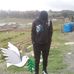 Brian Peter - Facebook